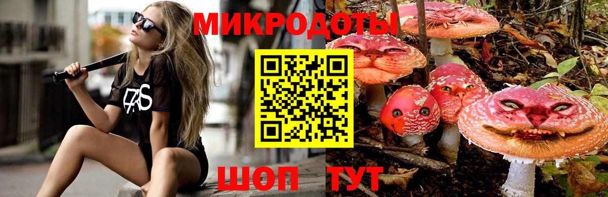 Котовск  Галлюциногенные грибы мицелий  Галлюциногенные грибы мухоморы  Вход с VPN 